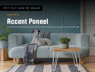 Accent wandpaneel 